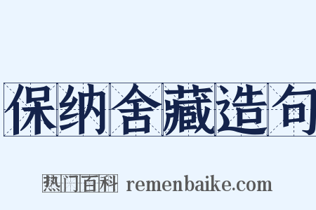 保纳舍藏造句是什么意思的图片